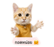 838053012