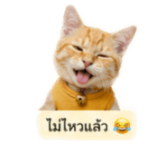 838053017