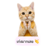 838053030
