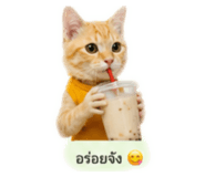 838053038