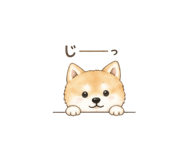 838054046