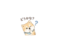838054051