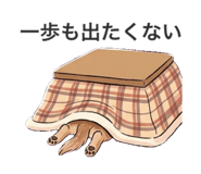 838055597