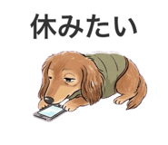 838055600