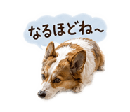 838059189