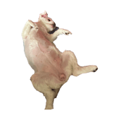 838060991