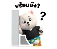838062647