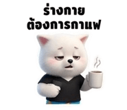 838062651