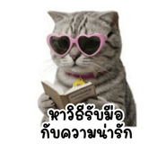 838062715