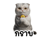838062721