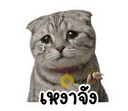 838062741