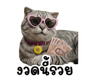 838062747