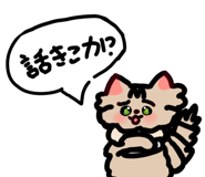 838063803