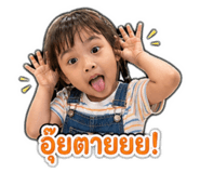 838064038