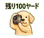 838065974
