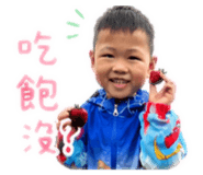 838068653