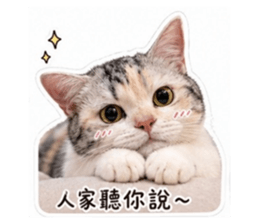 838069580