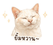 838075914