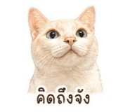 838075915