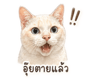 838075919