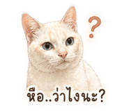 838075920