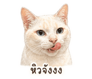 838075923