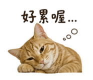 838078420
