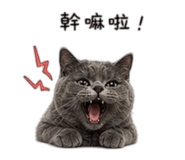 838078555