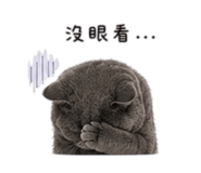 838078557