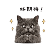 838078558