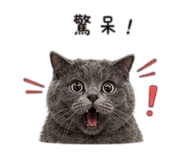 838078563