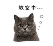 838078565