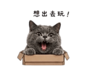 838078566