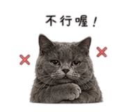 838078567