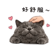 838078571