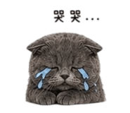 838078572