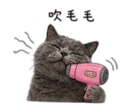 838078574