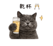 838078576