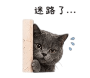 838078578