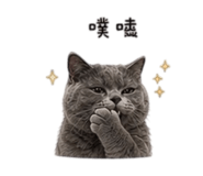838078582