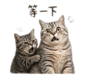 838078778