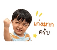 838080517