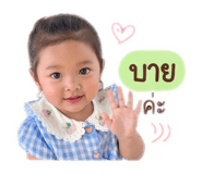 838080532