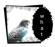 838080548