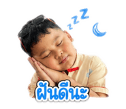 838080803