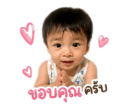 838081634