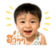 838081640