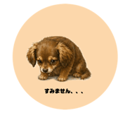 838083675