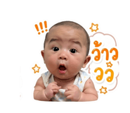 838085530