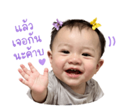 838086616